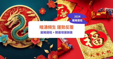 豬年運勢|【屬豬2024生肖運勢】暗湧頻生，運勢反覆｜屬豬運 